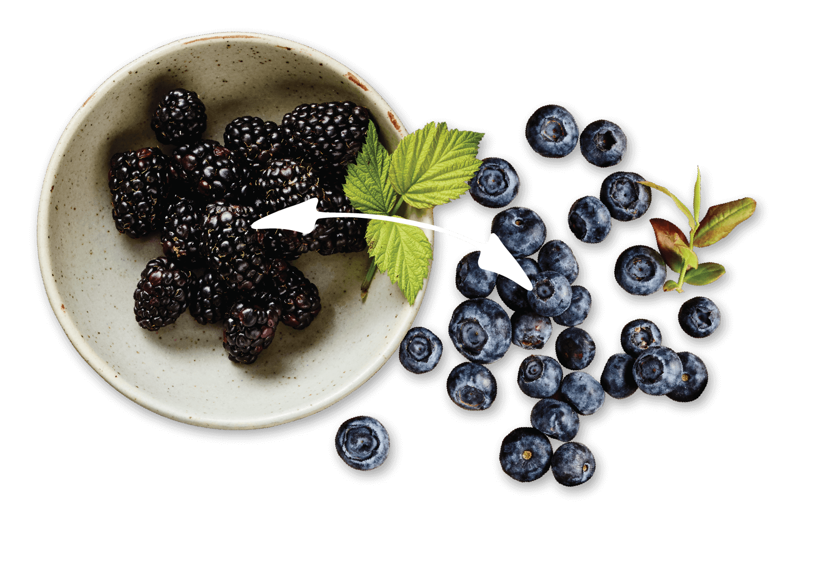 Blueberries + Blackberries = Immunity Boost