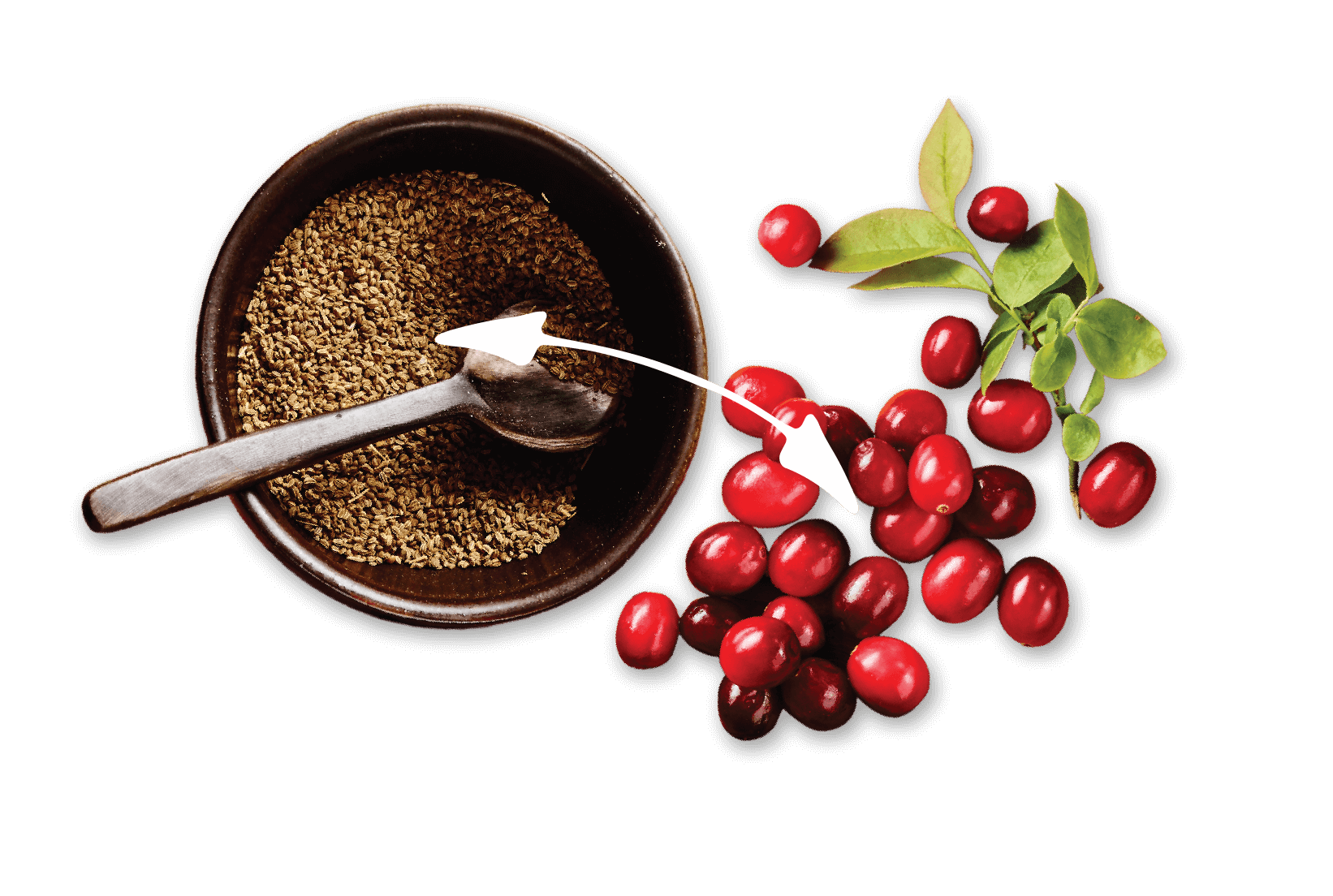 Cranberries + Celery Seeds = Healthy Bladder