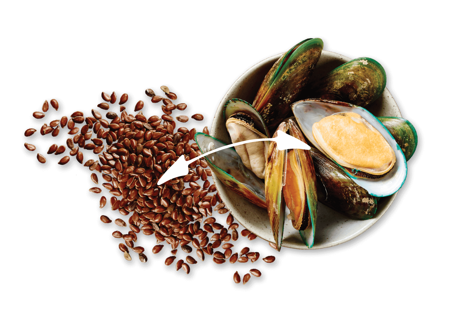 Flaxseed + Green Lipped Mussels = Improved Mobility