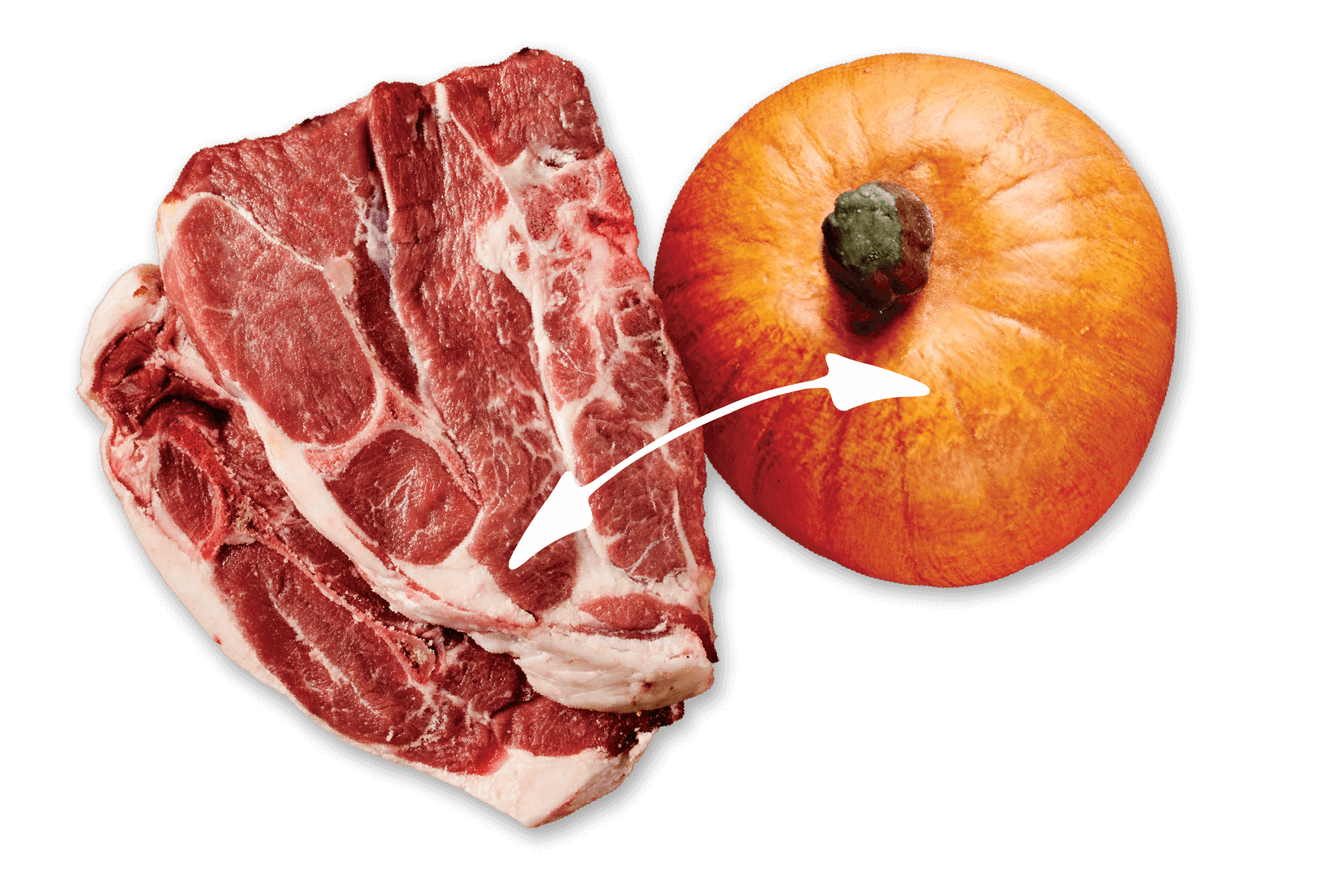 Lamb + Pumpkin = Better Digestion