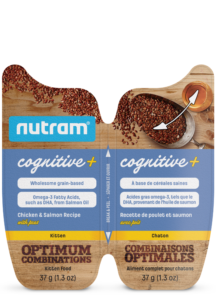 Product image for Nourriture pour chaton Nutram Cognitive+