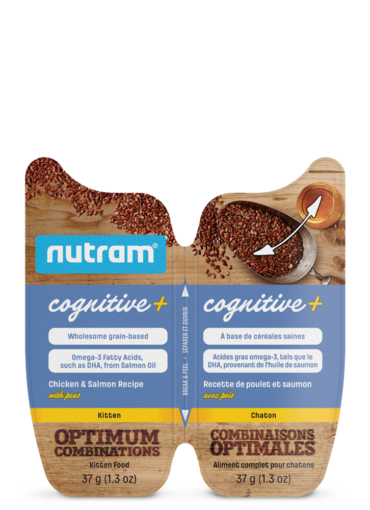 Product image for Cognitive+ Kitten