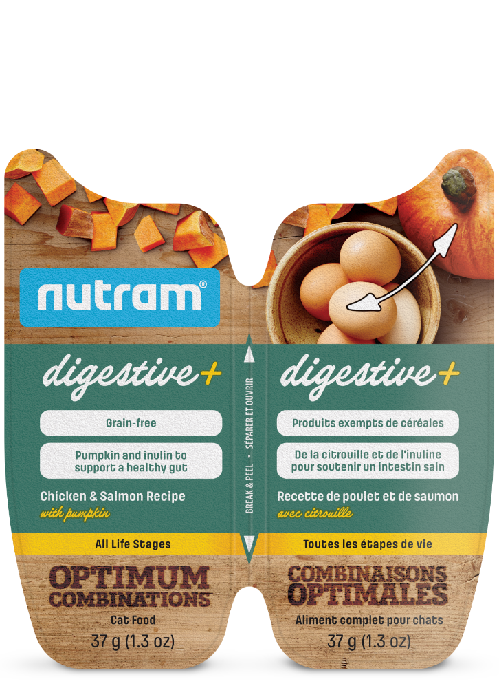 Product image for Nourriture pour chat Nutram Digestive+